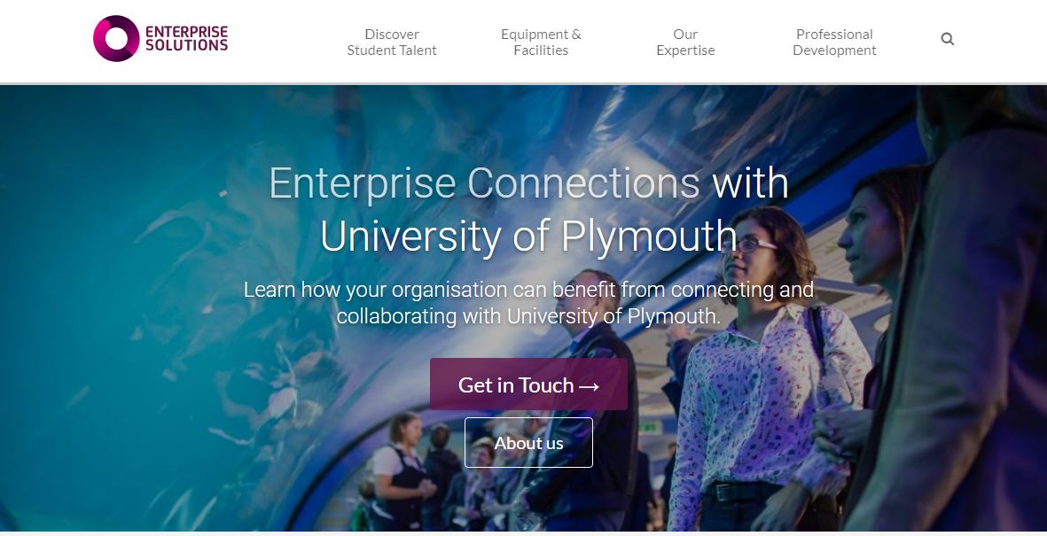 Screenshot of Enterprise Solutions homepage
