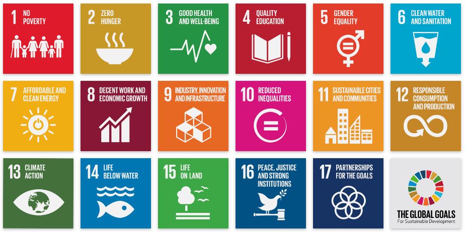 Screenshot of the The Sustainable Development Goals Tracker homepage